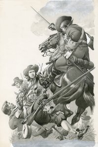 Pancia nera di un cavallo