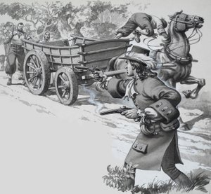La frustata della Vedova Verde