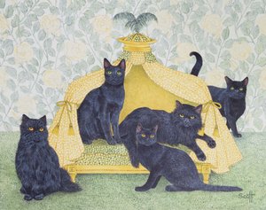 Velluto nero