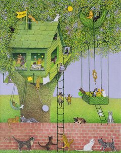 Casa sull