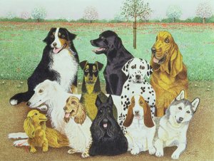 Guardia del cane