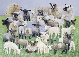 Feeling Sheepish (olio su tela)