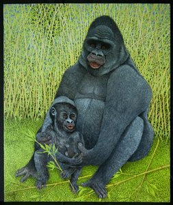 I gorilla