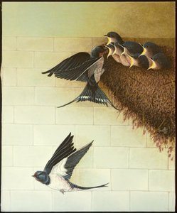 Bocche affamate, 2011 (acrilico su calicò)