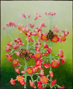 In the Pink, 2011 (acrilico su calico)