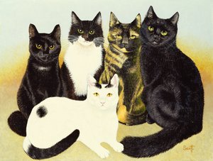 I gatti di Miss Cox