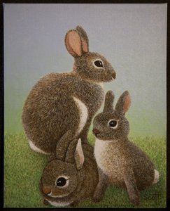 Famiglia Rabbit, 2016