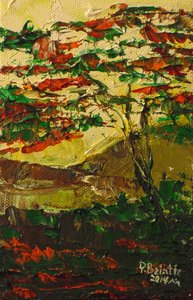 Flamboyant in fiore, 2014 da Patricia Brintle