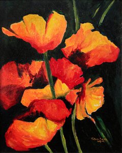 Papaveri vivaci da Patricia Brintle