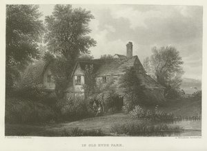 Nel vecchio Hyde Park