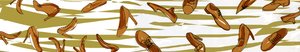 Scarpe, 2021 (digitale)