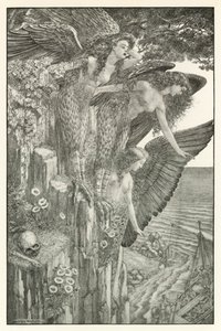 Illustrazione per l