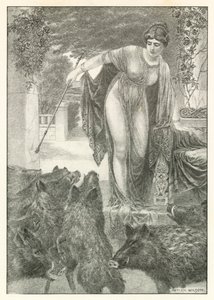 Illustrazione per l