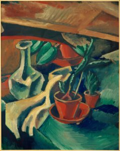Cactus e caraffa