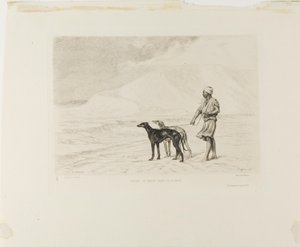 Staffetta di cani nel deserto