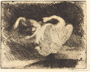 Leda dormiente Léda s