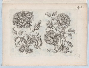 Serie di piccoli motivi floreali, Tavola 5, ca. 1670-85