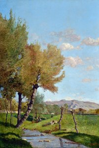 Il Grande Salice
