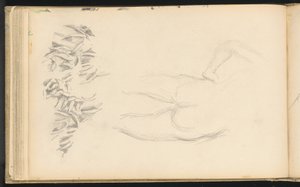 Un nudo e fogliame da Paul Cézanne