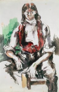 Il ragazzo con il gilet rosso