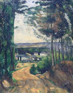 Strada che porta al lago