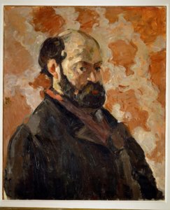Autoritratto su sfondo rosa da Paul Cézanne