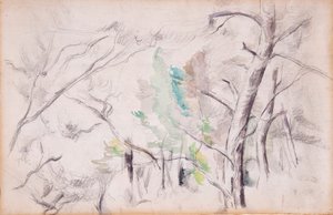 Alberi [recto]; Encagnane e il Pilon du Roi [verso] da Paul Cézanne