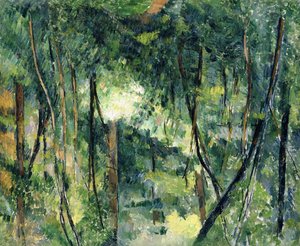 Sottobosco da Paul Cézanne