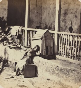 Chien de Garvel (Martinica) da Paul Emile Miot