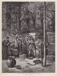 Mercante di serpenti in America Centrale