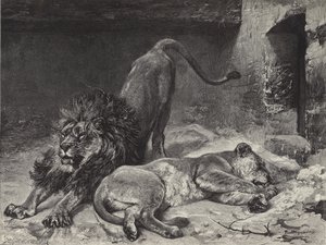 Il risveglio del leone