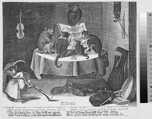 Concerto di gufo, gatti e scimmie