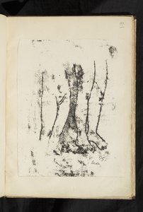 Avant et après - Studio delle gambe