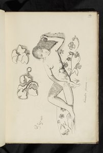 Disegno "Décorative personne"