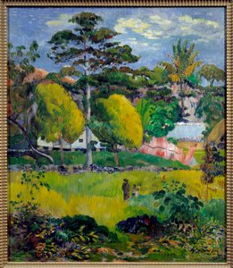 Paesaggio (forse Tahiti)