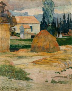 Paesaggio vicino ad Arles