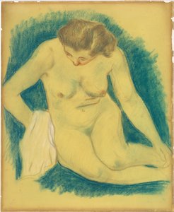 Nudo seduto visto dall