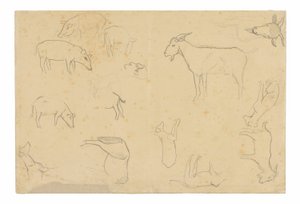 Schizzi di vari animali e di una testa (recto), schizzi di una testa, di una figura di profilo, di dettagli anatomici e di animali (verso). da Paul Gauguin