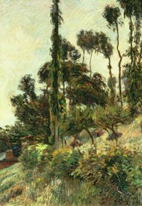 Il Lato della Collina