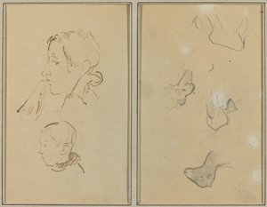 Due teste; studi di pecore (recto)