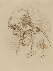 Testa di donna