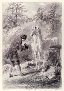 Il cavallo si fermò e mi fissò, dall