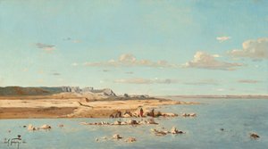 Lavandaie sulle rive della Durance da Paul Guigou