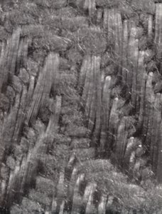 Fibre di un tovagliolo di damasco