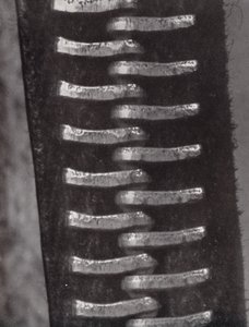 Cerniera lampo