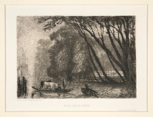 Bois de la Haye