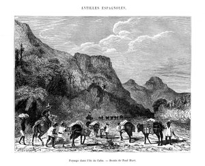 Paesaggio nell