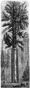 Parco Nazionale di Yosemite, California, XIX secolo
