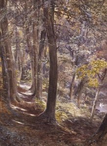Una radura nel bosco da Paul Jacob Naftel