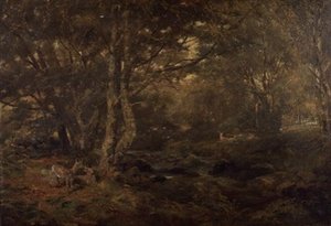 Attraverso il bosco, Pont-y-Gytyn, Galles del Nord da Paul Jacob Naftel